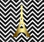 Picture of EIFFEL CHEVRON BLACK WHITE
