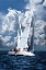 Picture of CROSSING SAILBOATS