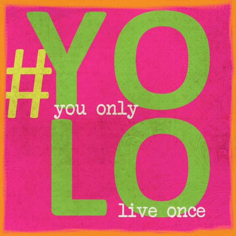 Picture of YOLO