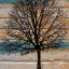 Picture of DAYTREE