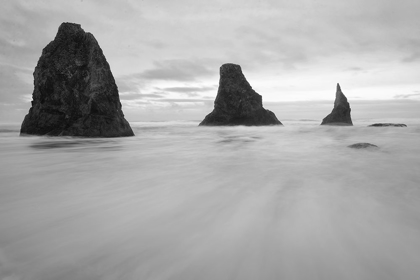 Picture of BANDON BW