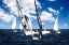 Picture of A PERFECT SAIL I