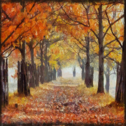 Picture of AMBER TRAIL