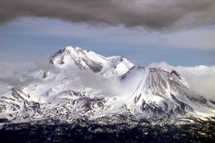 Picture of MT. SHASTA WINTER