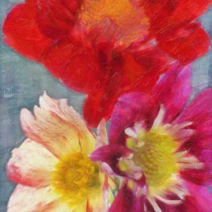 Picture of BLOOMS IN SPRING
