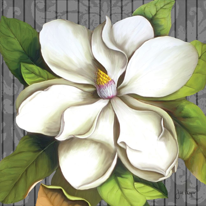 Picture of MAGNIFICENT MAGNOLIAS I