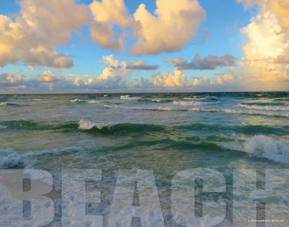 Picture of FLORIDA BEACH
