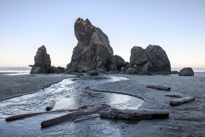 Picture of RUBY BEACH MORNING I