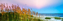 Picture of DAYS END II