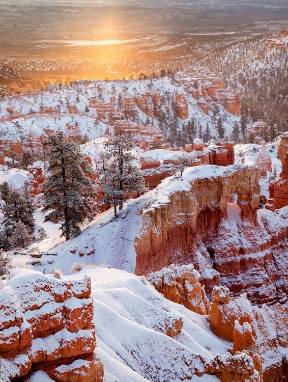 Picture of USA, UTAH, BRYCE CANYON NATIONAL PARK, SUNRISE FROM SUNRISE POINT AFTER FRESH SNOWFALL