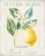 Picture of FLOURSACK LEMON I