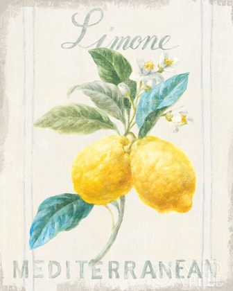 Picture of FLOURSACK LEMON III