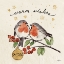 Picture of CHRISTMAS LOVEBIRDS II