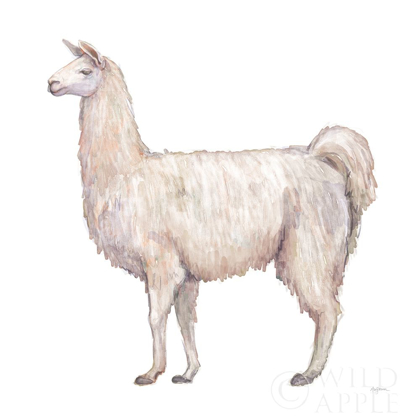 Picture of BOHEMIAN CACTUS LLAMA