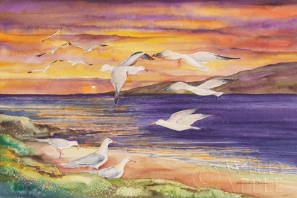 Picture of SEAGULL SUNSET