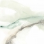Picture of WAVE FORM I
