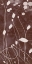 Picture of BOTANY EXPRESSIONS VIII