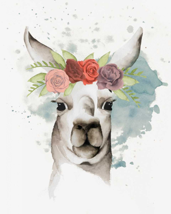 Picture of LLAMA FLORA II