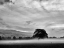 Picture of MISTY WEATHER IV