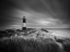Picture of THE LIGHTHOUSE