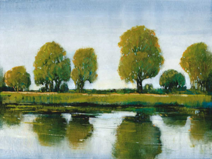 Picture of RIVER REFLECTIONS I