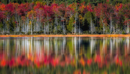 Picture of AUTUMN REFLECTIONS