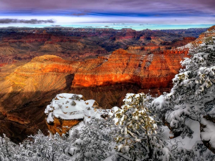 Picture of SNOWY GRAND CANYON IV