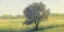 Picture of STANDING ALONE II