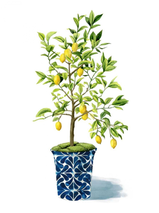 Picture of FRUIT TREE II