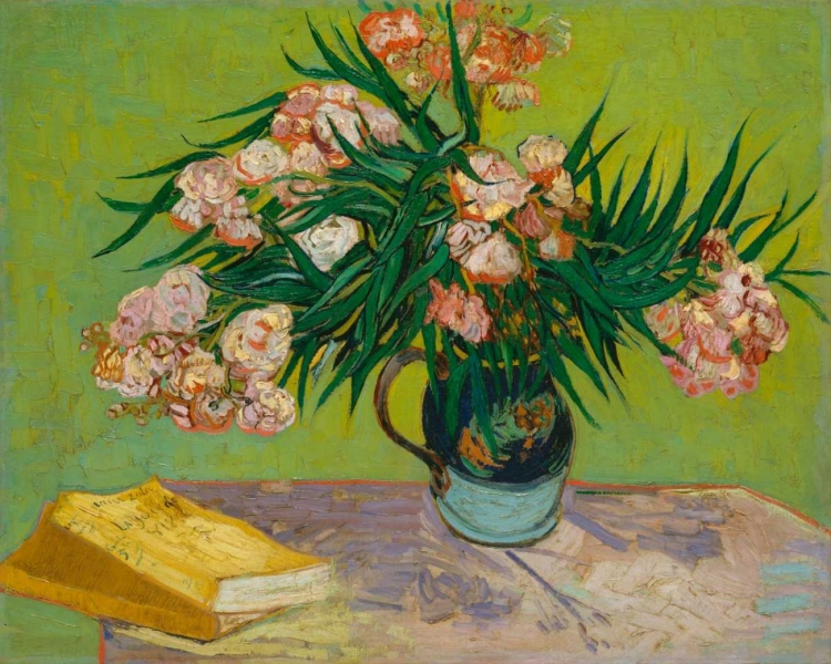Picture of OLEANDERS