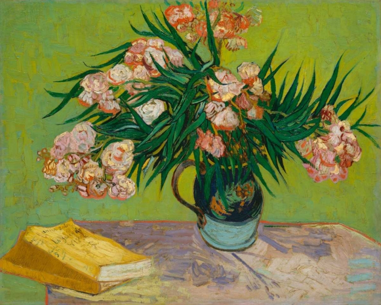 Picture of OLEANDERS