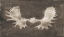 Picture of RUSTIC MOOSE MOUNT II