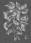 Picture of GRAPHIC FOLIAGE V