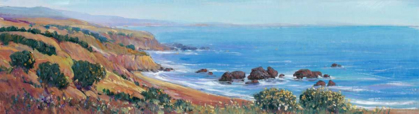 Picture of PANORAMIC OCEAN VIEW II