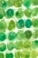 Picture of SPEARMINT I