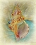 Picture of AQUATICA I