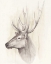 Picture of AMERICAN WILDERNESS III