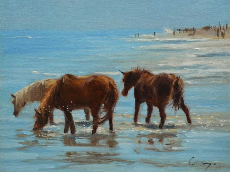 Picture of CHINCOTEAGUE PONIES