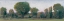 Picture of PANORAMIC TREELINE II
