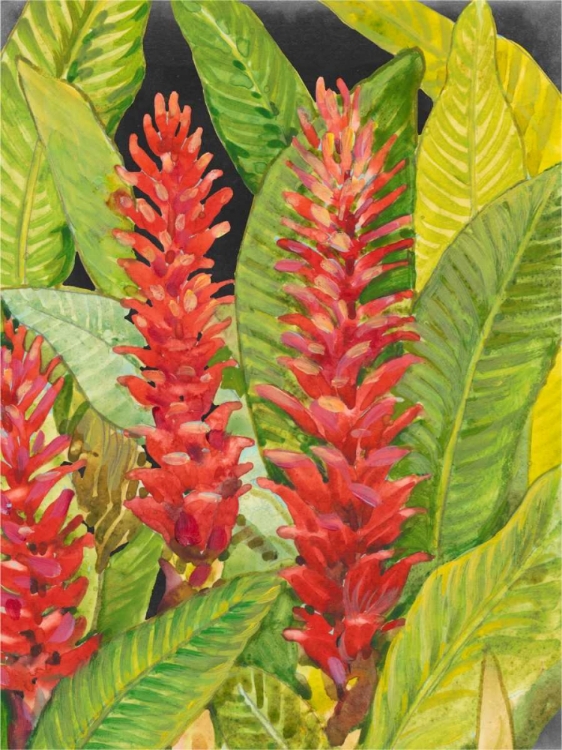 Picture of RED TROPICAL FLOWERS II