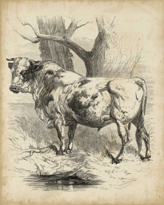 Picture of PASTORAL SKETCH II