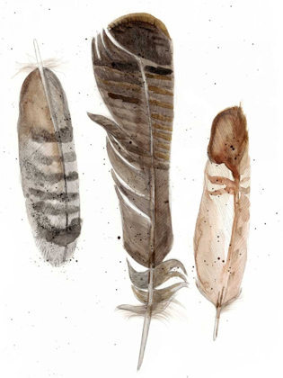 Picture of EARTHTONE FEATHERS I