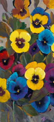 Picture of PANSY PANEL I