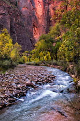 Picture of LOOKING UPSTREAM II