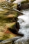 Picture of WATER ABSTRACT I