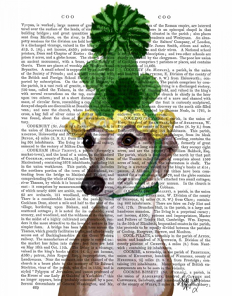 Picture of GREYHOUND IN GREEN KNITTED HAT