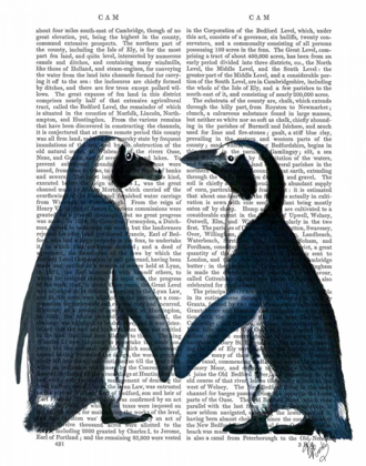 Picture of PENGUINS IN LOVE