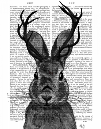 Picture of JACKALOPE WITH GREY ANTLERS
