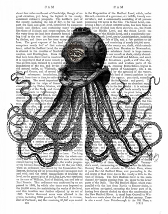 Picture of OCTOPUS AND DIVING HELMET