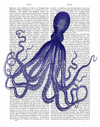 Picture of BLUE OCTOPUS 4